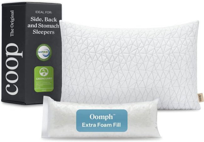  10. Coop Home Goods Loft Bamboo Pillow with Lulltra Washable Cover (Queen) 